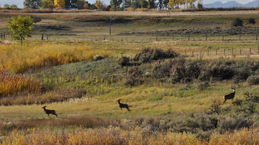 Natural Resources Department – Southern Ute Indian Tribe